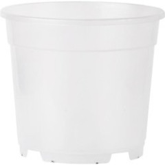 TMX Květináč Orchideje - čirý 14cm