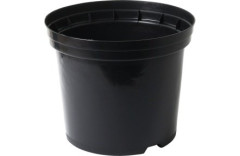 TMX Kontejner 43cm, 30L