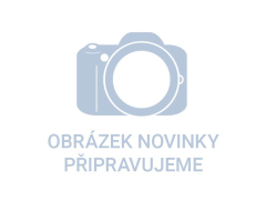 kotouč lamelový šikmý korundový, O125mm, P100