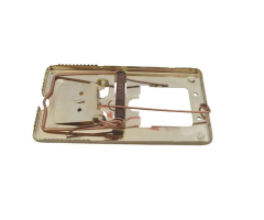 Pastička na myš Ms