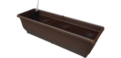 Truhlík sam. TORENIE  50cm hnědý