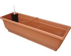 Truhlík sam. TORENIE  60cm terakota