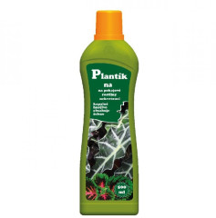 PLANTÍK na pokojovky nekvetoucí 500ml